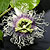 Passion Flower